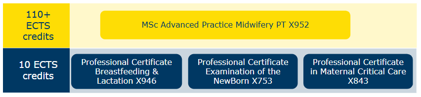 Midwifery Pathway
